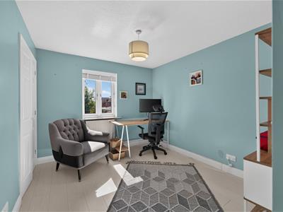 Picture 21